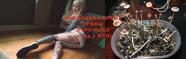 мескалин Горнозаводск