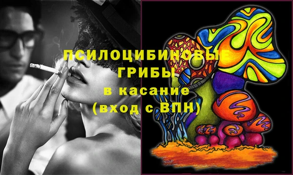 СК Горно-Алтайск