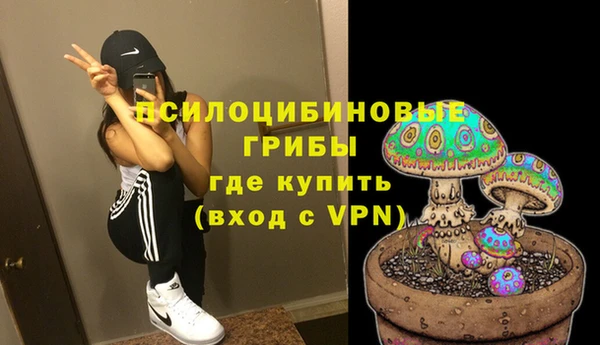 СК Горно-Алтайск
