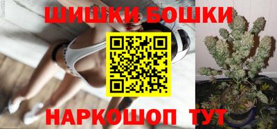 мет Кингисепп