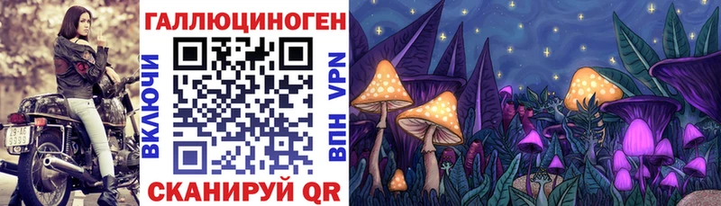 кракен маркетплейс  Наро-Фоминск  Псилоцибиновые грибы Magic Shrooms  купить наркотики сайты 