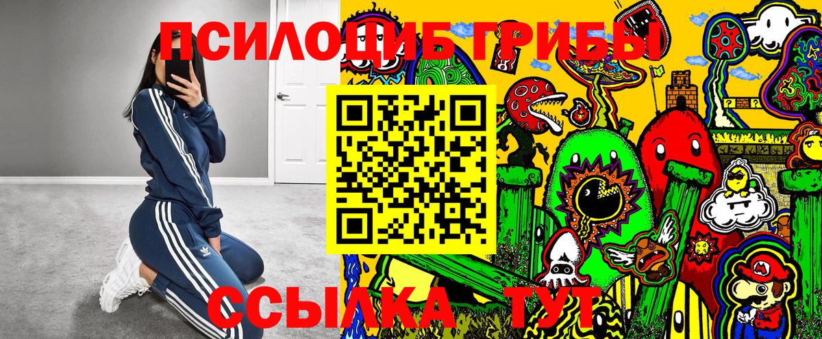 сколько стоит  Наро-Фоминск  Псилоцибиновые грибы Psilocybe 