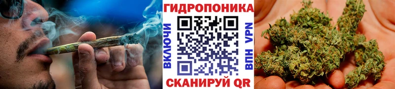 хочу   Наро-Фоминск  Бошки марихуана сатива 